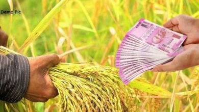 Photo of पावणे तीन लाख शेतकऱ्यांना वाटले ८२०  कोटी रूपयांचे अनुदान. ‘ एक शेतकरी एक अर्ज ‘ उपक्रम अल्पावधीत यशस्वी