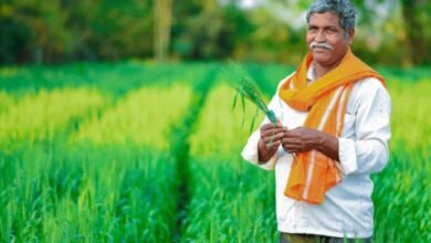Photo of खरीप हंगामासाठी जिल्ह्याला १. ७७  लाख मे. टन खताचे आवंटन मंजूर