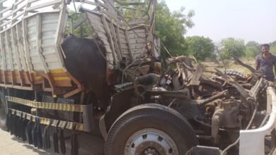 Photo of मेहकर  – चिखली रोडवर मुंगसरी फाट्याजवळ ट्रकचा भीषण अपघात. १२ जनावरांसह २ व्यक्ती ठार तर १  जण गंभीर