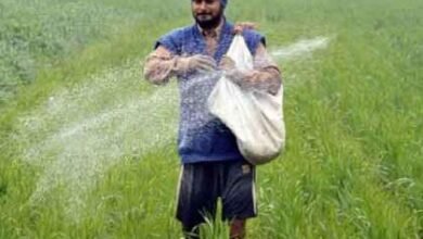 Photo of खतांवरील सबसिडीबाबत मोदी सरकारने घेतला हा मोठा निर्णय… देशातील १४ कोटी शेतकऱ्यांना मिळणार दिलासा