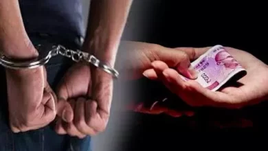 Photo of तो लाचखोर आरएफओ अखेर झाला  निलंबित