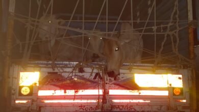 Photo of कत्तलीसाठी गायी, वासरे नेतांना देऊळगाव साकरशा येथे वाहन  पकडले.  जानेफळ पोलीसांनी केले गुन्हे दाखल.  चार आरोपी अटक एक फरार