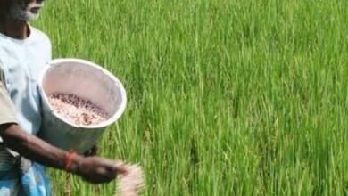 Photo of कृषी विभाग म्हणतो; शेतकऱ्यांनो डीएपीचा आग्रह सोडून संयुक्त खते वापरा