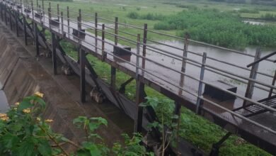 Photo of गोडबोले गेटचे दरवाजे एकाचवेळी खुलत असल्याने  पैनगंगा नदिकाठच्या शेतक-यांचे  होते नुकसान. यावेळी  नूकसान झाल्यास प्रशासनच जबाबदार.  शेतक-यांसह स्वाभिमानीचे विनायक सरनाईक यांनी दिला  प्रशासनास इशारा