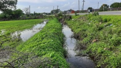 Photo of शेगाव – पंढरपूर महामार्ग रस्ता कामात अनियमता.  शेतात पाणी घुसल्याने लाखो रुपयांची पीकहानी