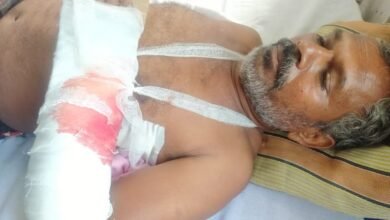 Photo of शेलसूर येथील अस्वलांच्या हल्ल्यात शेतकरी गंभीर जखमी