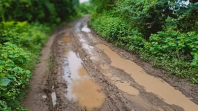 Photo of उत्रादा येथिल मुख्य रस्ताची दुरवस्था, गावकऱ्यांनी दिला आंदोलनाचा इशारा