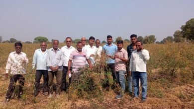 Photo of चांदुर बिस्वा येथे कृषी विभाग महसूल विभागाकडून तूर पिकाचा सर्वे