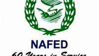 Photo of नाफेडतर्फे तुरीला ६६०० रूपये प्रति क्विंटल दर; विक्रीसाठी तूर आणा, पणन महामंडळाचे आवाहन