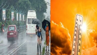 Photo of राज्यात अवकाळी पावसाचा जोर वाढला, शेती पिकांना फटका तर बुलढाण्यासह ‘या’ जिल्ह्यांना ऑरेंज अलर्ट