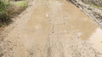 Photo of ब्रह्मपुरी वाडी येथील रस्त्याचे नूतीकरण रखडले, चालता येईना गावकऱ्यांची वाट बिकट !