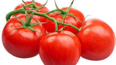 Photo of आता प्रत्येक तालुक्यांत होणार सेंद्रिय शेतीचे क्लस्टर; बुलडाणा व चिखली तालुक्यात कृषी विभाग स्थापन करणार गट; प्रति हेक्टर ३२ हजर १३० रुपयांप्रमाणे मिळणार अनुदान