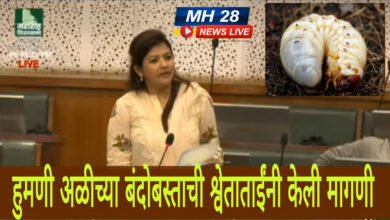 Photo of सोयाबीनवरील अळीमुळे नुकसान; आ. श्वेताताई महाले यांनी विधानसभेत शेतकऱ्यांना मदतीची केली मागणी