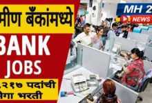 Photo of विविध ग्रामीण बँकांसाठी मेगा भरती १३,२१७ पदांसाठी आजच अर्ज करा !