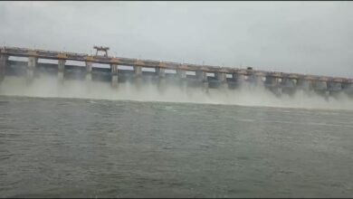 Photo of मासेमारीच्या जाळ्यात अडकून झाला ‘ त्या ‘ शेतकऱ्याचा दुर्दैवी अंत