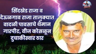 Photo of सिंदखेड राजा व देऊळगाव राजा तालुक्यात वादळी पावसाचे थैमान; गारपीट, वीज कोसळून दुचाकीस्वार ठार