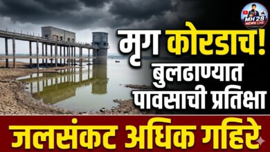 Photo of मृग कोरडाच! बुलढाण्यात पावसाची प्रतिक्षा, जलसंकट अधिक गहिरे