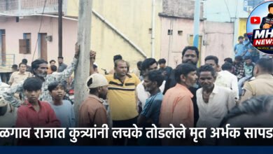 Photo of देऊळगाव राजात कुत्र्यांनी लचके तोडलेले मृत अर्भक सापडले