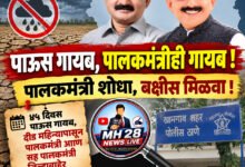 Photo of पाऊस गायब, पालकमंत्रीही गायब ! पालकमंत्री शोधा, बक्षीस मिळवा !… ४५ दिवस पाऊस गायब, दीड महिन्यापासून पालकमंत्री आणि सह पालकमंत्रीही ‘जिल्हाबाहेर’; राष्ट्रवादीची खामगाव पोलिसांत तक्रार
