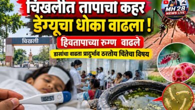 Photo of चिखलीत तापाचा कहर; डेंग्यूचा धोका वाढला ! हिवतापाच्या रुग्ण वाढले|; डासांचा वाढता प्रादुर्भाव ठरतोय चिंतेचा विषय