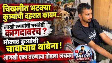 Photo of चिखलीत भटक्या कुत्र्यांची दहशत कायम… लाखो रुपयांची नसबंदी कागदावरच ? मोकाट कुत्र्यांची चावाचाव थांबेना ! आणखी एका तरुणाचा तोडला लचका ​