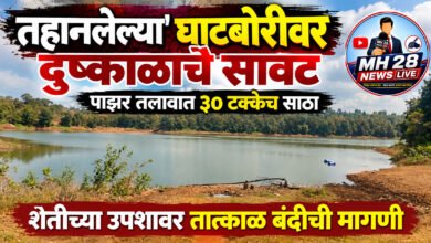 Photo of तहानलेल्या’ घाटबोरीवर दुष्काळाचे सावट… पाझर तलावात ३० टक्केच साठा, शेतीच्या उपशावर तात्काळ बंदीची मागणी