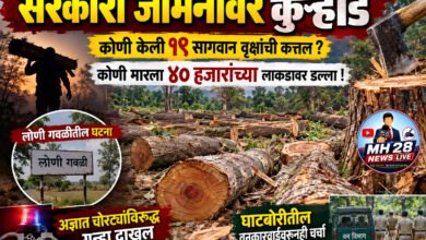 Photo of सरकारी जमिनीवर कुऱ्हाड; कोणी केली १९ सागवान वृक्षांची कत्तल ? कोणी मारला ४० हजारांच्या लाकडावर डल्ला… लोणी गवळीतील घटना; अज्ञात चोरट्यांविरुद्ध गुन्हा दाखल, घाटबोरीतील वनकारवाईवरूनही चर्चा