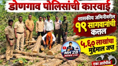Photo of मेहकर तालुक्यातील ‘ पुष्पा ‘ वर डोणगाव पोलिसांची कारवाई…शासकीय जमिनीवरील १९ सागवानांची कत्तल; ५.६० लाखांचा मुद्देमाल जप्त; एका आरोपीस अटक