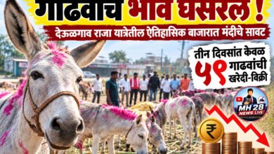 Photo of गाढवांचे भाव घसरले ! देऊळगाव राजा यात्रेतील ऐतिहासिक बाजारात मंदीचे सावट; तीन दिवसांत केवळ ५९ गाढवांची खरेदी-विक्री