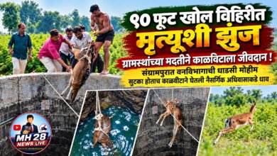 Photo of ९० फूट खोल विहिरीत मृत्यूशी झुंज; ग्रामस्थांच्या मदतीने काळविटाला जीवदान ! संग्रामपुरात वनविभागाची धाडसी मोहीम; सुटका होताच काळवीटाने घेतली नैसर्गिक अधिवासाकडे धाव