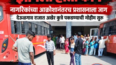 Photo of मोकाट कुत्र्यांचा हैदोस होईपर्यंत नगरपालिका झोपली होती का ?  नागरिकांच्या आक्रोशानंतरच प्रशासनाला जाग; देऊळगाव राजात अखेर कुत्रे पकडण्याची मोहीम सुरू